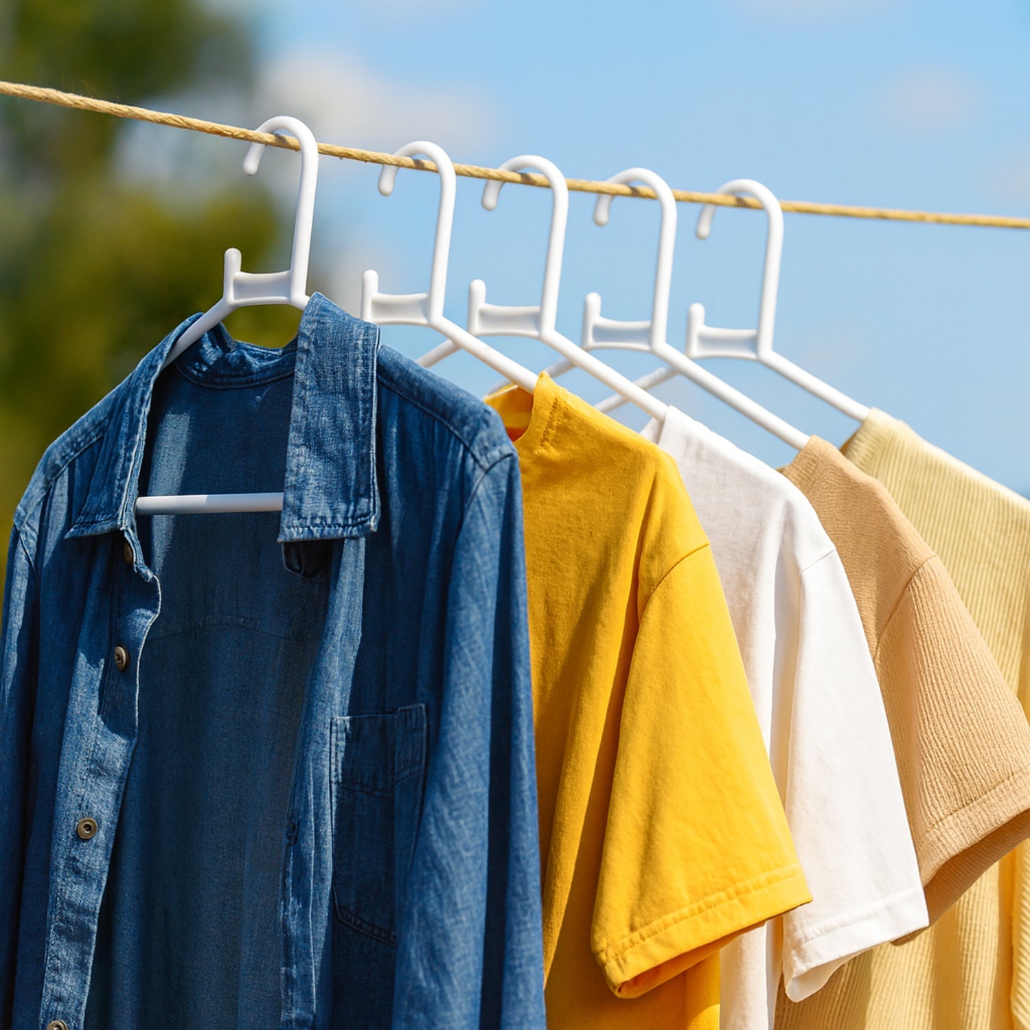 Plastic Clothes Hangers – Durable & Space-Saving Set of 6