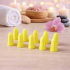 Foam Ear Plugs – Soft Noise Reduction with Storage Case (5 Pairs)