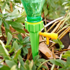 Drip Irrigation Kit – Automatic Self-Watering Spikes | Tidy Roots