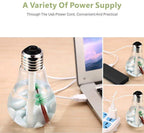 Automatic Air Freshener Humidifier – Cool Mist, LED Light | Velvet Wheels
